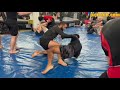 Jiu-Jitsu Roll Narration - Coach Zahabi