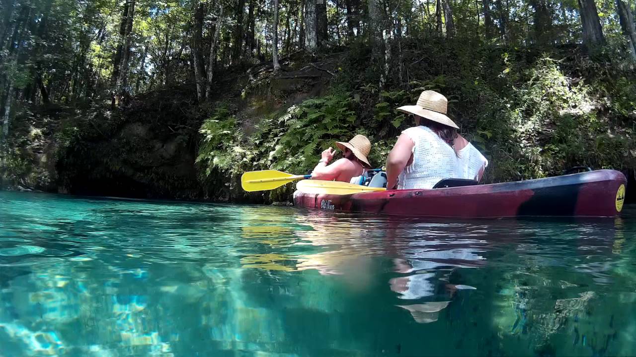 Econfina River, FL YouTube