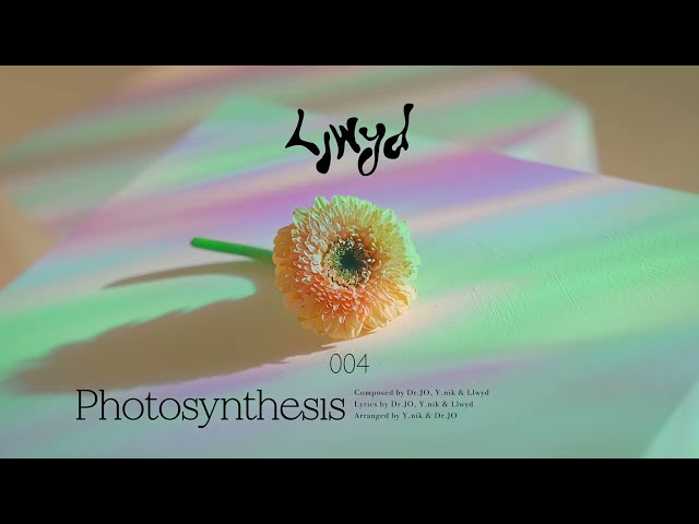 루이드 Llwyd - Photosynthesis (Official Audio) class=
