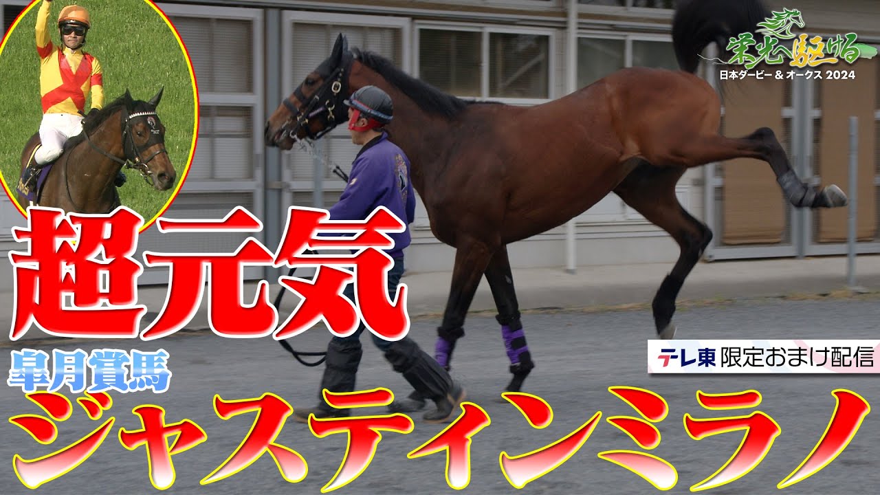 【日本ダービー直前】ジャスティンミラノ（秘）素顔大公開！