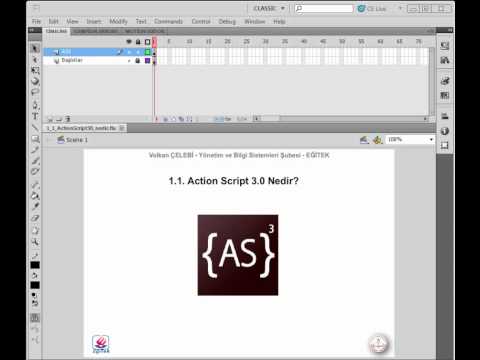 ActionScript 3.0 Nedir?