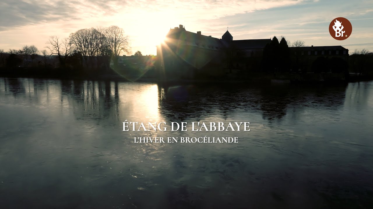 Matin d’hiver en Brocéliande : l’étang de Paimpont figé par la glace