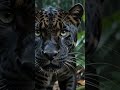 Black Panther in Dark Rainforest 🐈⬛ | AI Wildlife