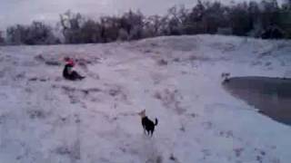 BMI Sledding 8.avi