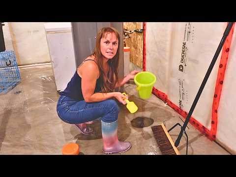 My NEW HOME FLOODED!!!