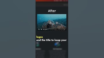 Embed YouTube videos cleanly #website #developer #webmaster #YouTube #embed #cleancontent