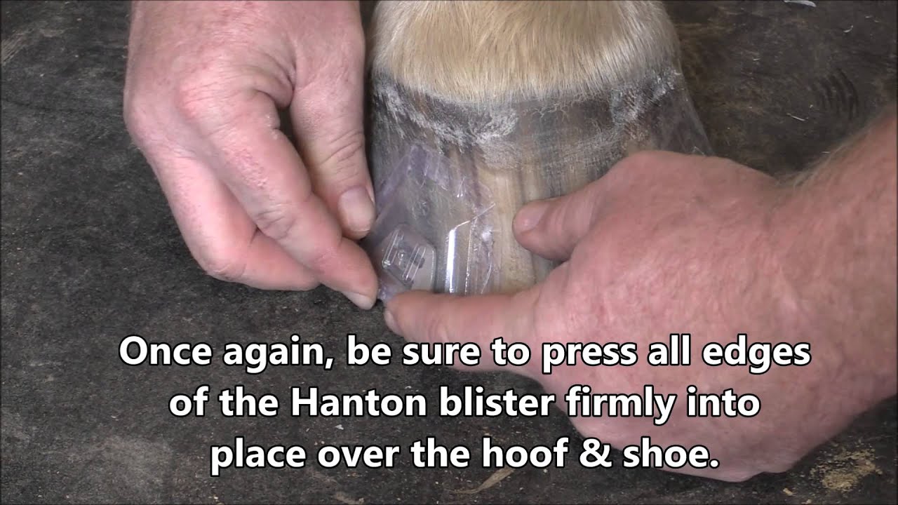 How to Easily Apply Hanton Horseshoes! YouTube