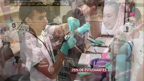 YVC: Por los números 2024