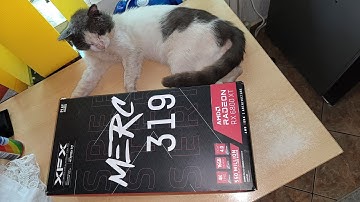 XFX Merc 319 Radeon RX 6800 XT unboxing ft. cat