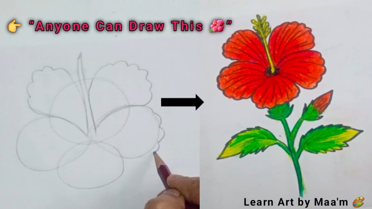“Hibiscus Flower Drawing Step by Step 🌺 | Easy & Beautiful Gudhal Flower Drawing for Kids”