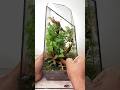 The Geometric Glass Terrarium