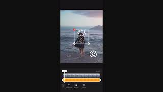 How to Add Static & Animated Stickers | GIF Maker screenshot 5