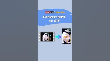Quickly Convert MP4 to GIF | Step-by-Step Guide#mp4 #gifs