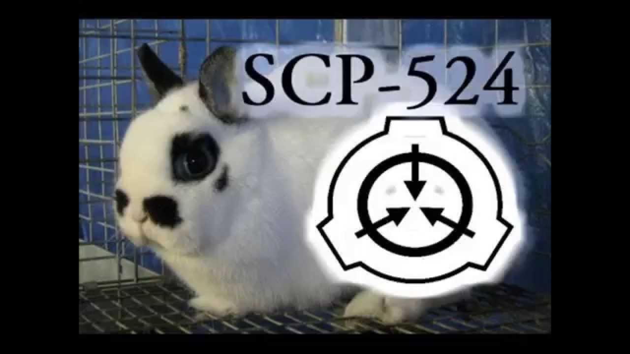 Scp 524 Walter The Omnivorous Rabbit Youtube - scp 524 rabbit image roblox