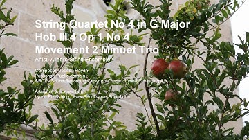 String Quartet No 4 in G Major Hob III 4 Op 1 No 4 Movement 2 Minuet Trio