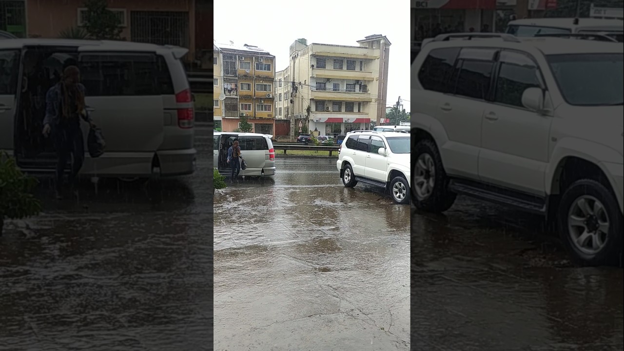 Rain #rain #maputo #nature #mozambique #africa #rains #shorts #shortsvideo