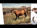 Realistic Horse Painting Time-Lapse | Oil on Canvas