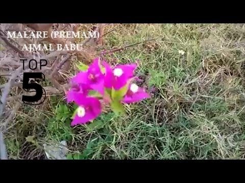 MALARE SONG PREMAM MOVIE | COVER BY AJMAL BABU (ORIGINALLY SUNG BY VIJAY YESUDAS)