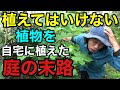 【興味本位で植えてはいけない植物】庭がどんどん侵食されていく。。。【園芸超人カーメン君】