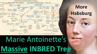 Marie Antoinette's INBRED FAMILY TREE Her Habsburg Lineage Explained!