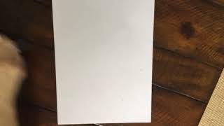 Grade 5 Topic 13 Topic Assessment Practice