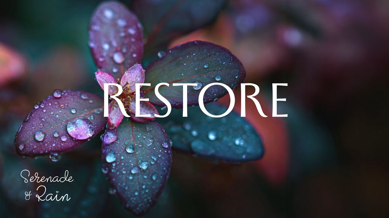 Piano Music for Deep Sleep | Gentle Acoustic Harmonies to Relieve Stress and Find Inner Serenity