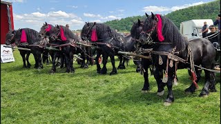 Întâlnirea cu iubitorii de cai de la Gura Putnei-Bucovina 21 Mai 2023 NOU!!!