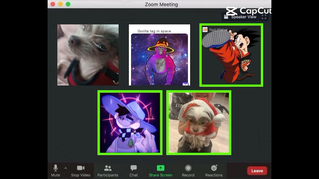 me when some try to roast me YouTube