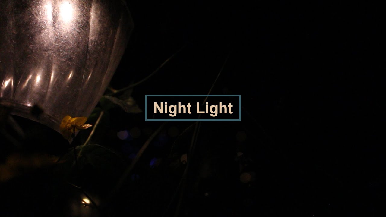 Night Light