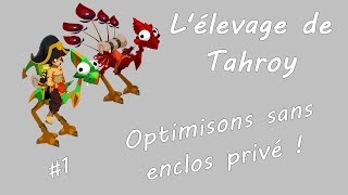 [Tahroy] Faire un élevage sans enclos privé - L'élevage de Tahroy