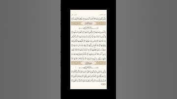 الورد اليومي: 4 صفحات (593-594-595-596) لتجنب هجر القرآن | تذكير يومي مستمر #قرآن #تلاوة