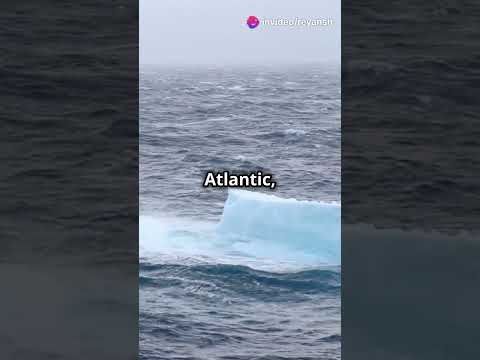 Ambitions - Sinking