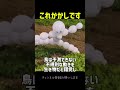 【🔞若干視聴注意】鳥の心理を突いた最新かかしの動きが面白すぎるww #雑学 #おもしろ