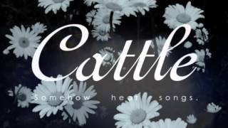 Video thumbnail of "Cattle | Amy"