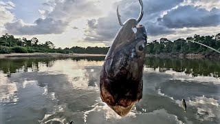 OLHA ESSA ISCA PRA PEGAR OS TANQUES DE GUERRA!!! PESCARIA EM RORAIMA RIO ANAUÁ! @alien_fishing_oficial by ALIEN FISHING 338 views 8 months ago 6 minutes, 39 seconds