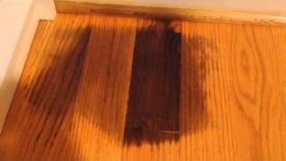 How To Remove Black Urine Stains From, How To Clean Urine From Hardwood Floors