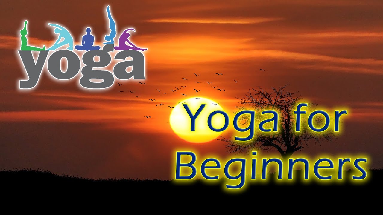 yoga asanas for beginners yoga for life easy yoga asanas in tamil