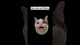 Cat filter