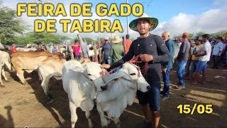 Feira de gado de Tabira-PE [15/05/24] Pátio