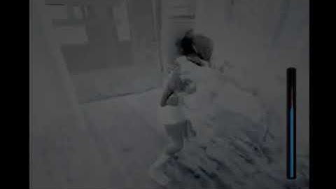 Reupload Pyschadelicsnake Fatal Frame 1  Project Zero 1 First Time Walkthrough part 14