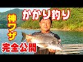 【かかり釣り】名匠石倉一徳船長神ワザ完全公開〖チヌはこうして釣れ!〗
