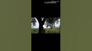 Boan au inang di tamiang mu-rencus purba