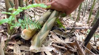 百年难遇发财的现象，村民发现一大片竹笋遍地都开花，拔得真过瘾