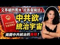 中共從未反過奴性文化｜從文革到促統法中共的矛盾與自洽｜民族促統法意味著什麼？｜中華民族｜文化想像共同體｜臺灣需去「中華」化｜毛澤東｜CCP is taking over the world