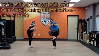 White Belt Movement Drills and One Step Sparring Combinations