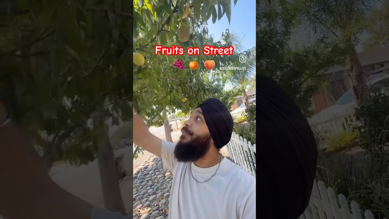 Mini Vlog From USA 🇺🇸 San jose Fruits on Streets 🍊 🍑
