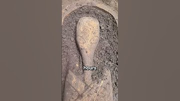 What These Archaeologists Found Will Blow Your Mind #archaeology #discovery #history #shorts