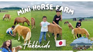 Mini horse farm | Hokkaido | Japan | Beautiful Farm |