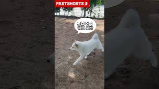 유튜브 쇼츠로 1000만원 수익의 진실