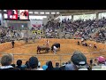 全てが名勝負！沖縄　うるま市　闘牛全国大会　沖縄　うるま市　県民市民の熱量がハンパ無い！